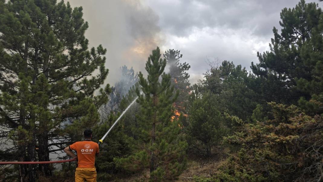 Konya Derbent’te orman yangını çıktı 8
